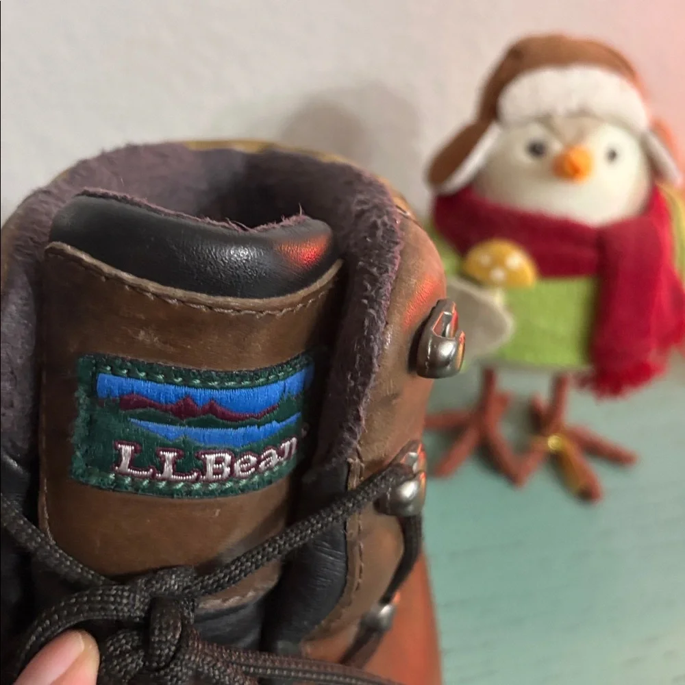Brown L.L. Bean Hiking Boots SZ 9 mens box 102